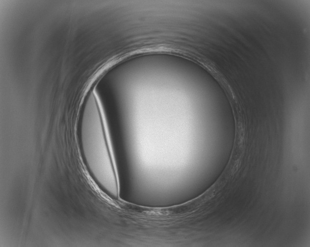 X0000086080805200703231048