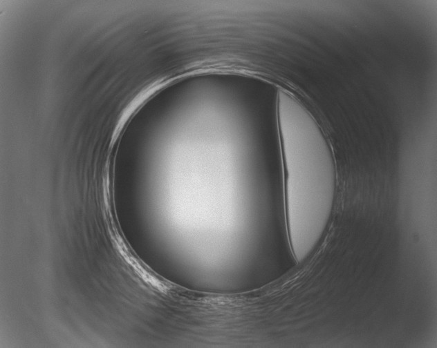 X0000086080812200703231048