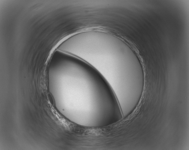 X0000086080816200703231048