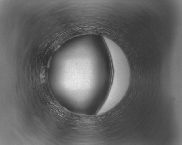 X0000086080818200703231047