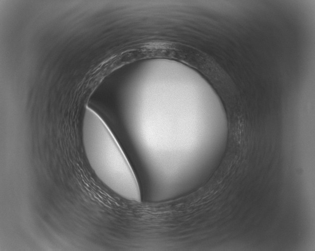 X0000086080821200703231047