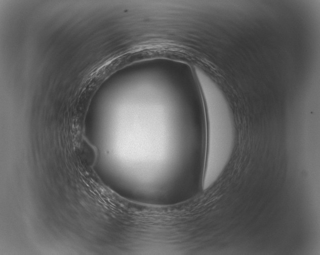 X0000086080822200703231047