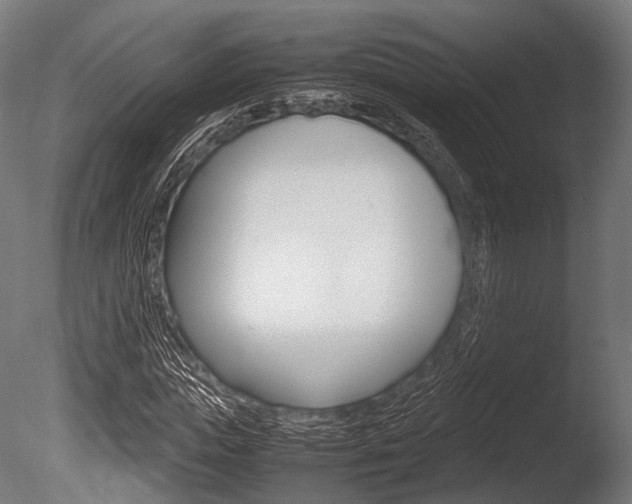 X0000086080823200703231047