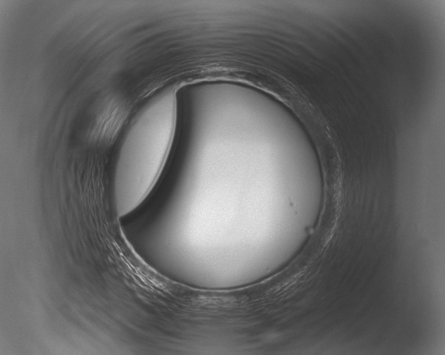 X0000086080825200703231047