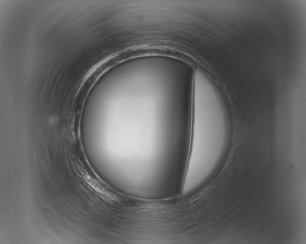 X0000086080830200703231047