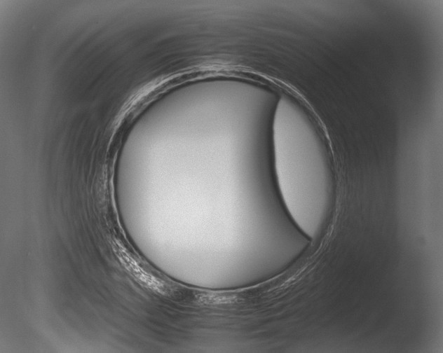 X0000086080831200703231047