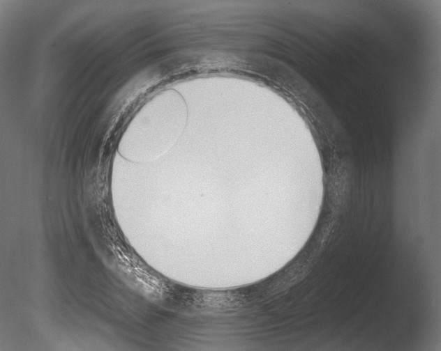 X0000086080832200703231047