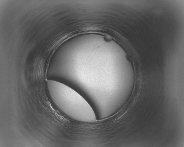 X0000086080833200703231047