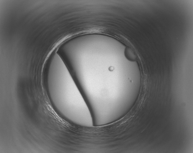 X0000086080835200703231047