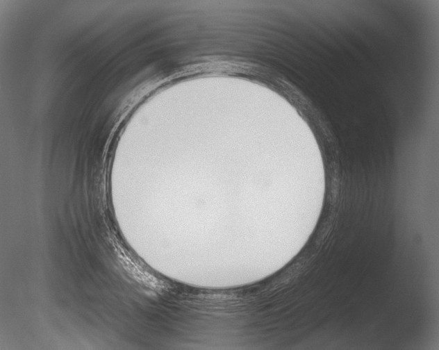 X0000086080836200703231047