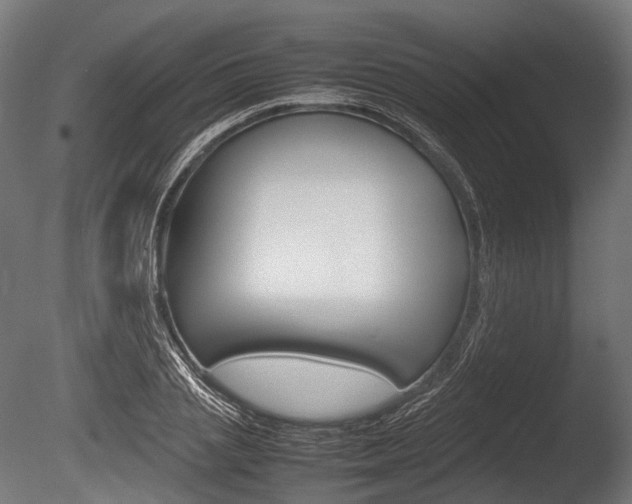 X0000086080837200703231047