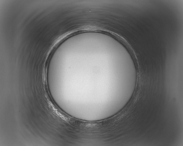 X0000086080839200703231047