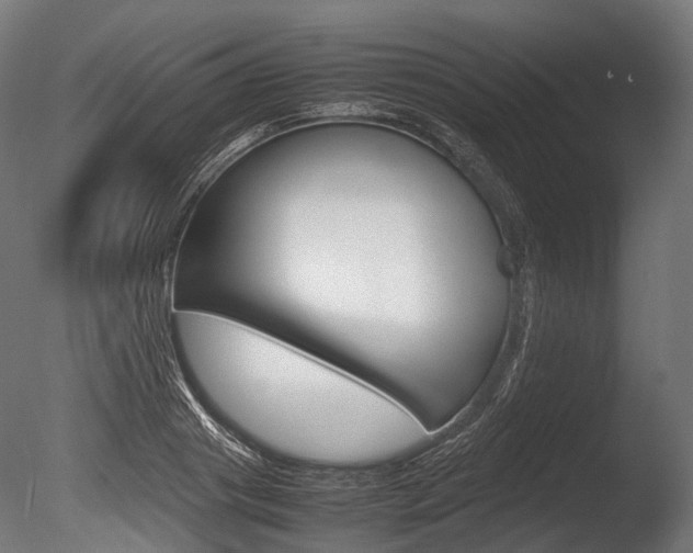 X0000086080841200703231047