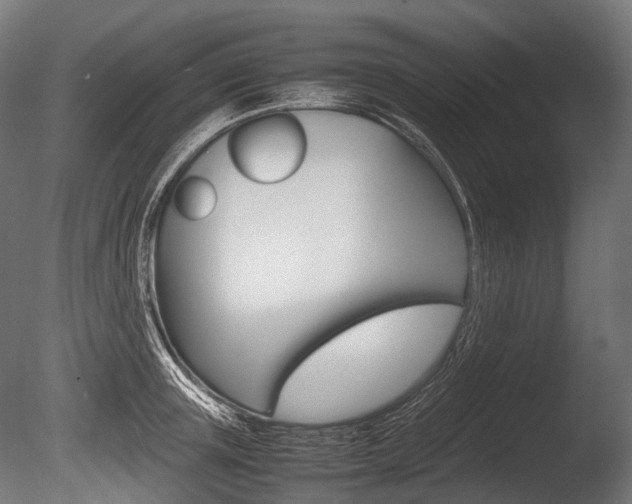 X0000086080851200703231048