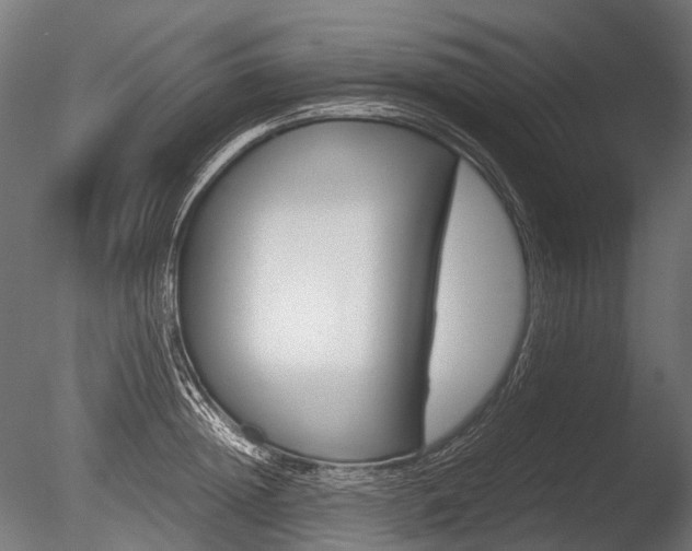 X0000086080852200703231048