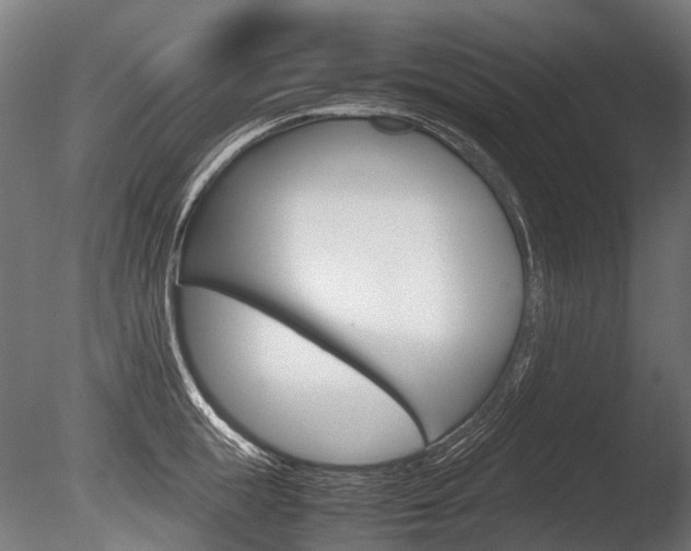 X0000086080855200703231048