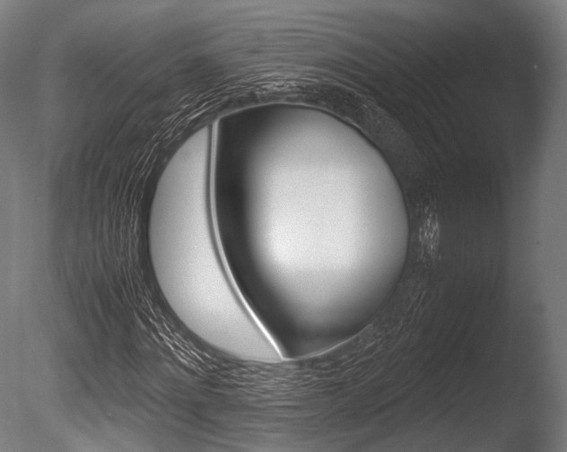 X0000086080868200703231047