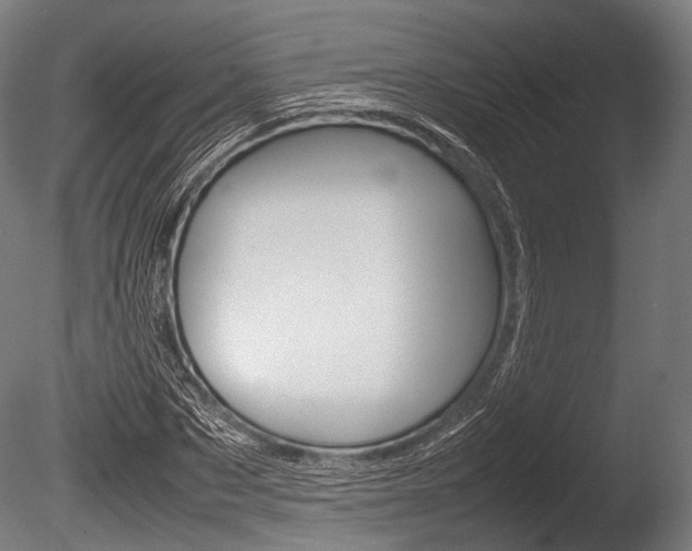 X0000086080873200703231047