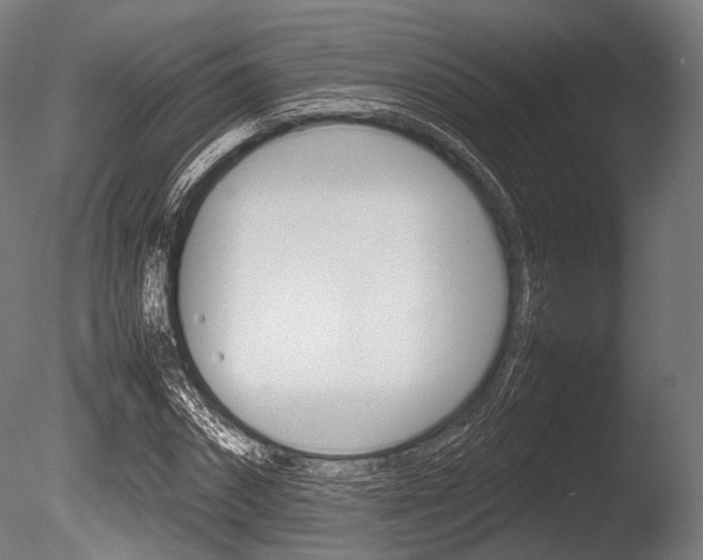 X0000086080874200703231047