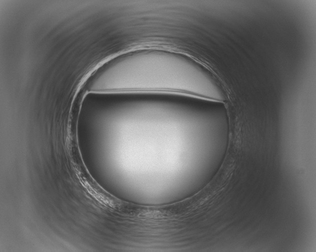 X0000086080880200703231047
