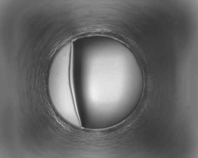 X0000086080881200703231047