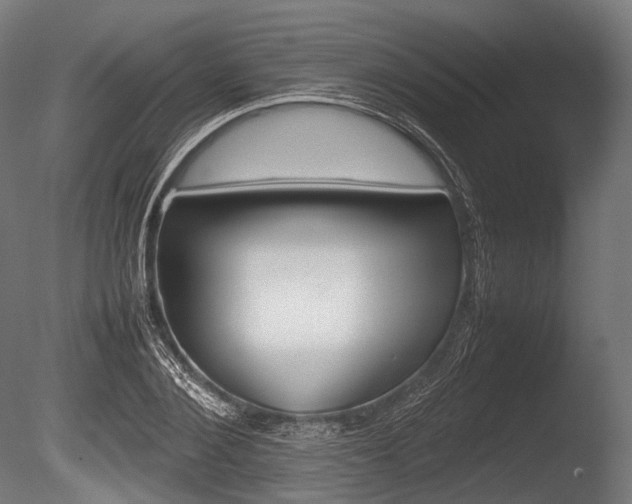 X0000086080884200703231047