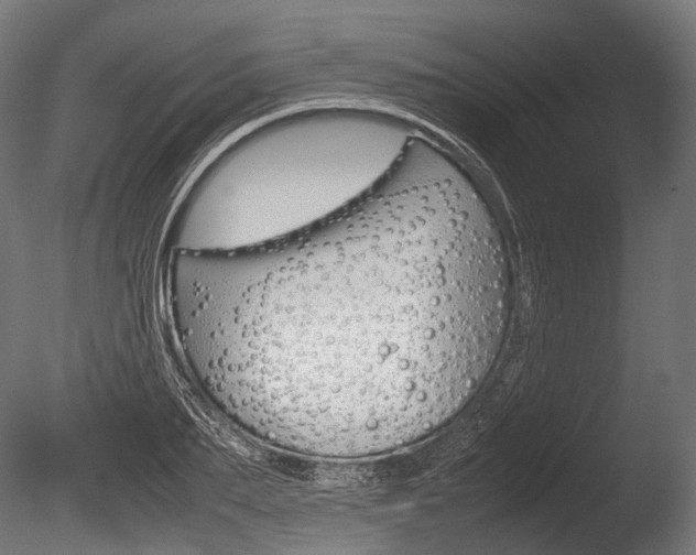 X0000086080887200703231047