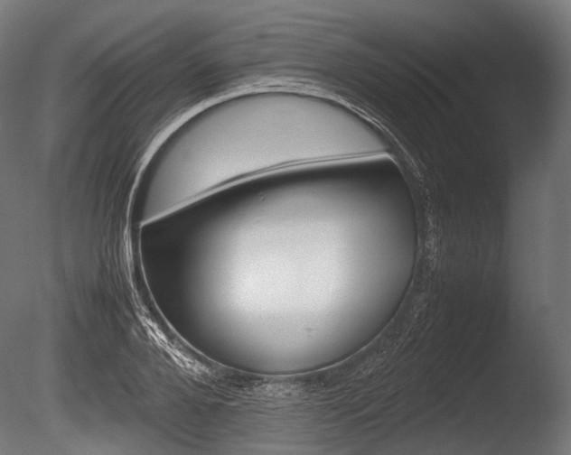 X0000086080888200703231047