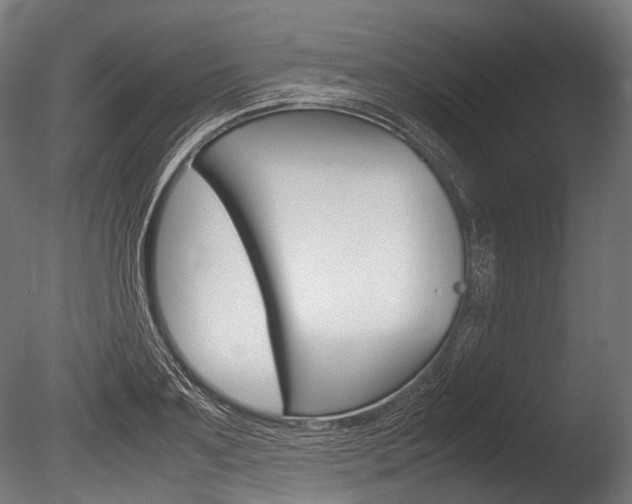 X0000086080891200703231047
