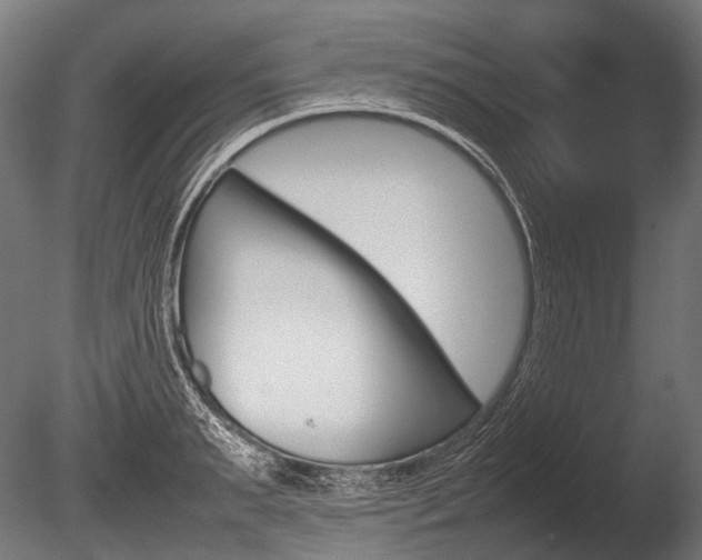 X0000086080895200703231046