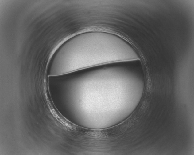 X0000086080896200703231046