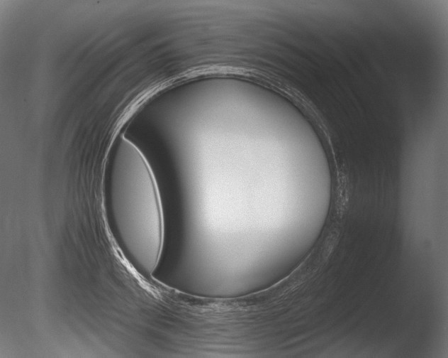 X0000086080898200703231046