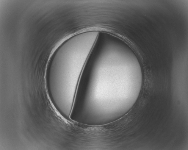 X0000086080902200703231046