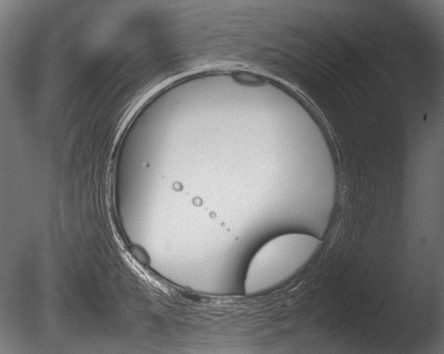 X0000086080903200703231046