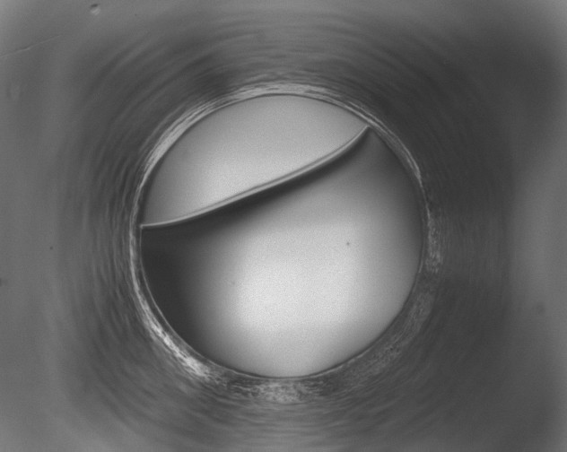 X0000086080906200703231046