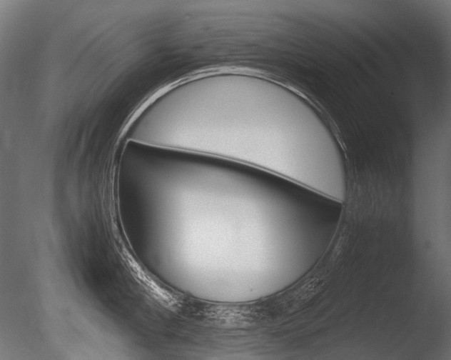 X0000086080910200703231046