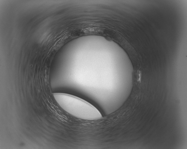 X0000086080915200703231045