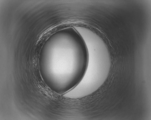 X0000086080920200703231045
