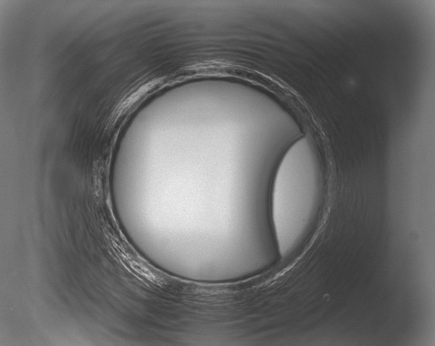 X0000086080921200703231045