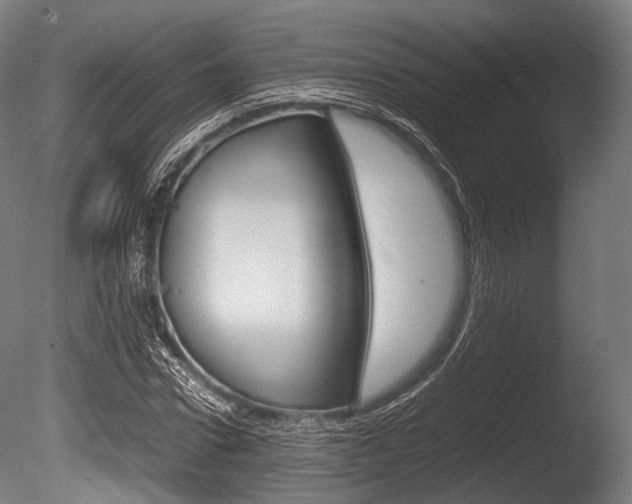 X0000086080922200703231045
