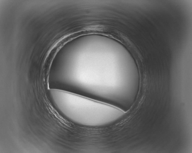 X0000086080923200703231045