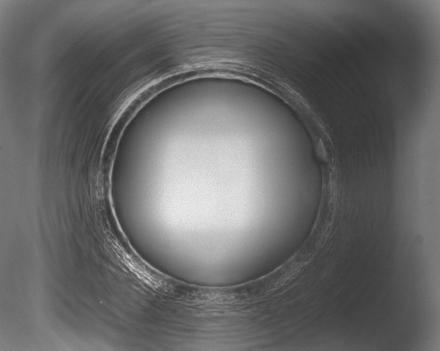 X0000086080924200703231046