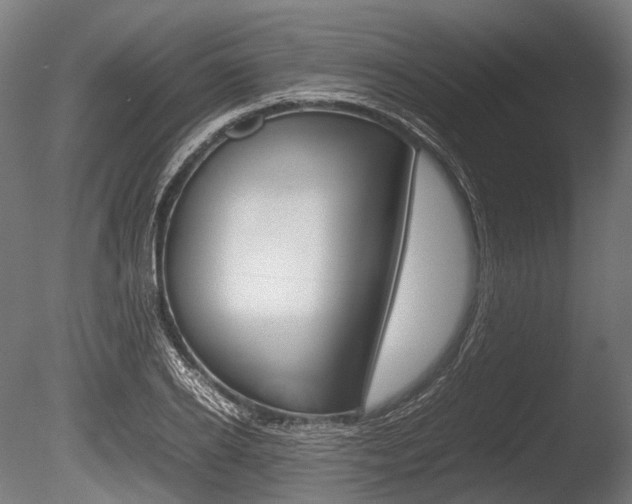 X0000086080934200703231046