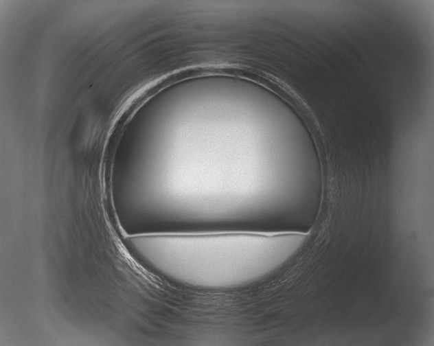 X0000086080935200703231046