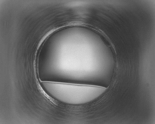X0000086080947200703231046