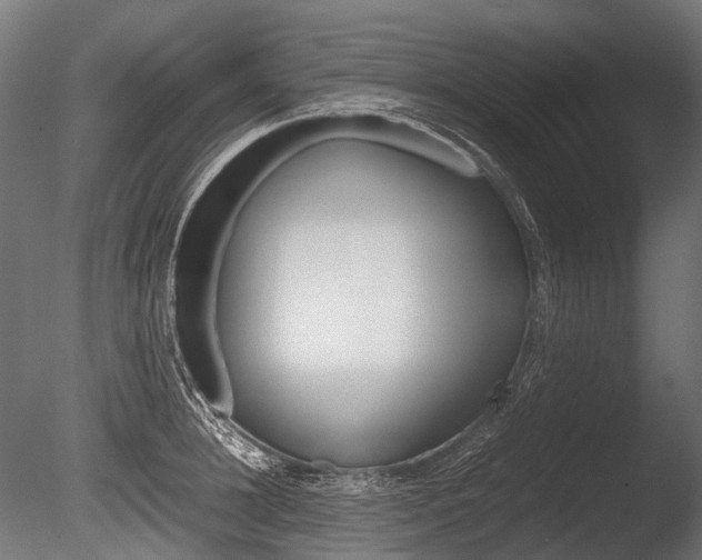 X0000086080948200703231046