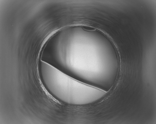 X0000086080949200703231046