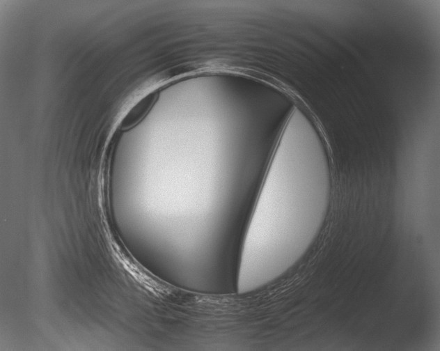 X0000086080955200703231046