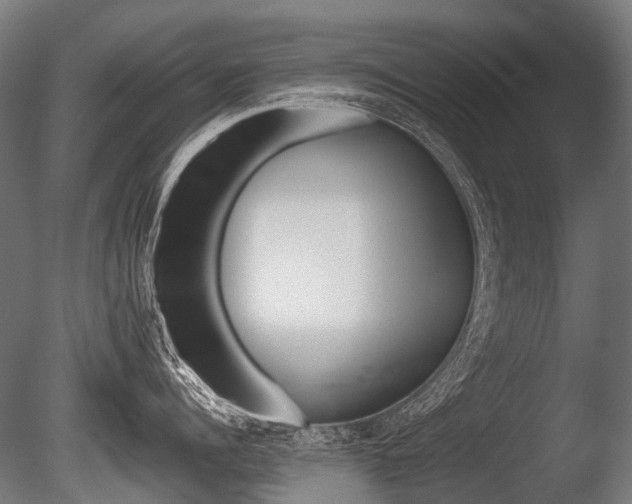 X0000086080960200703231046