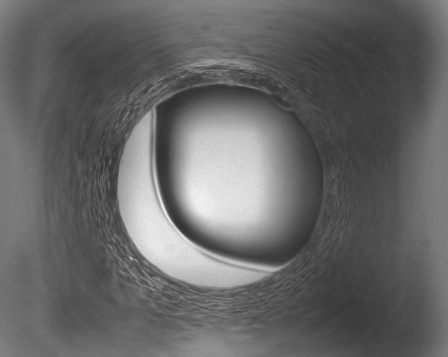 X0000086080965200703231045